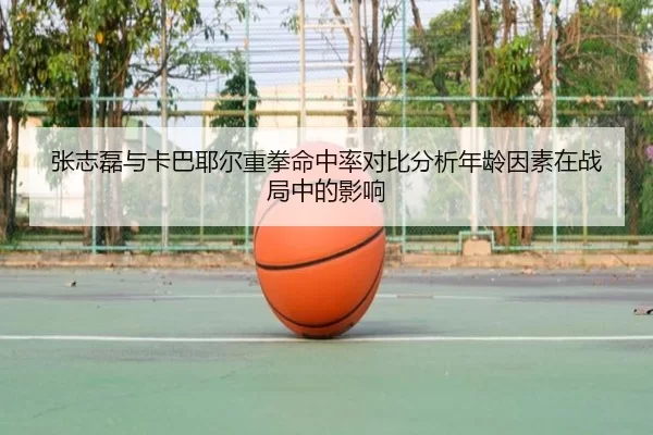 张志磊与卡巴耶尔重拳命中率对比分析年龄因素在战局中的影响 - bet365