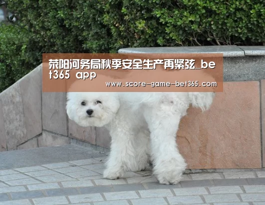 荥阳河务局秋季安全生产再紧弦_bet365 app(图2) 荥阳河务局秋季安全生产再紧弦_bet365 app(图2)